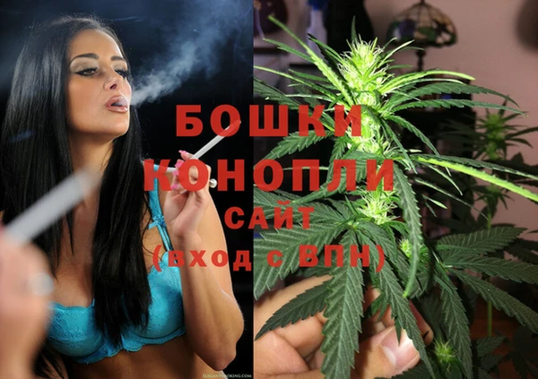 прущие грибы Волосово