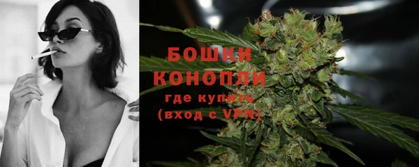 прущие грибы Волосово