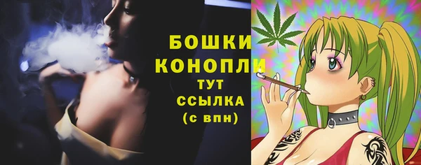прущие грибы Волосово