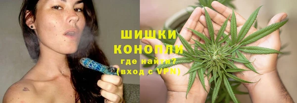 прущие грибы Волосово