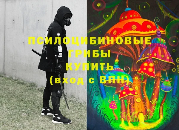 прущие грибы Волосово