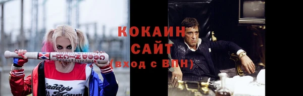 прущие грибы Волосово