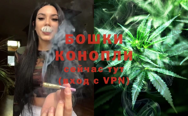 прущие грибы Волосово