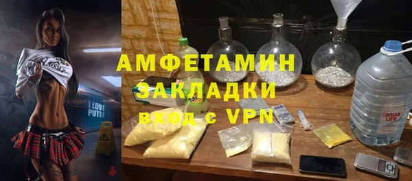 прущие грибы Волосово