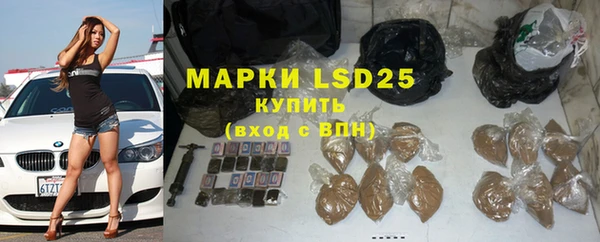 прущие грибы Волосово