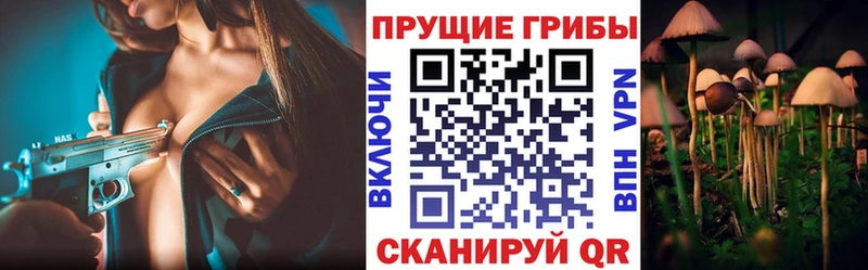 Купить где  Щёлково  Галлюциногенные грибы прущие грибы 