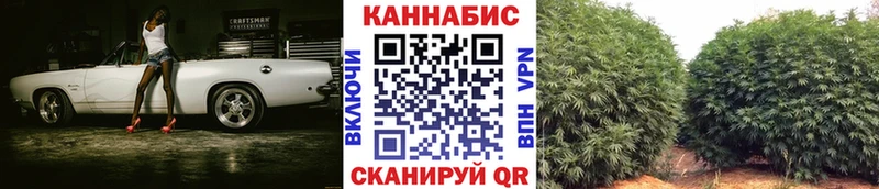 Купить  Щёлково  Шишки марихуана гибрид 